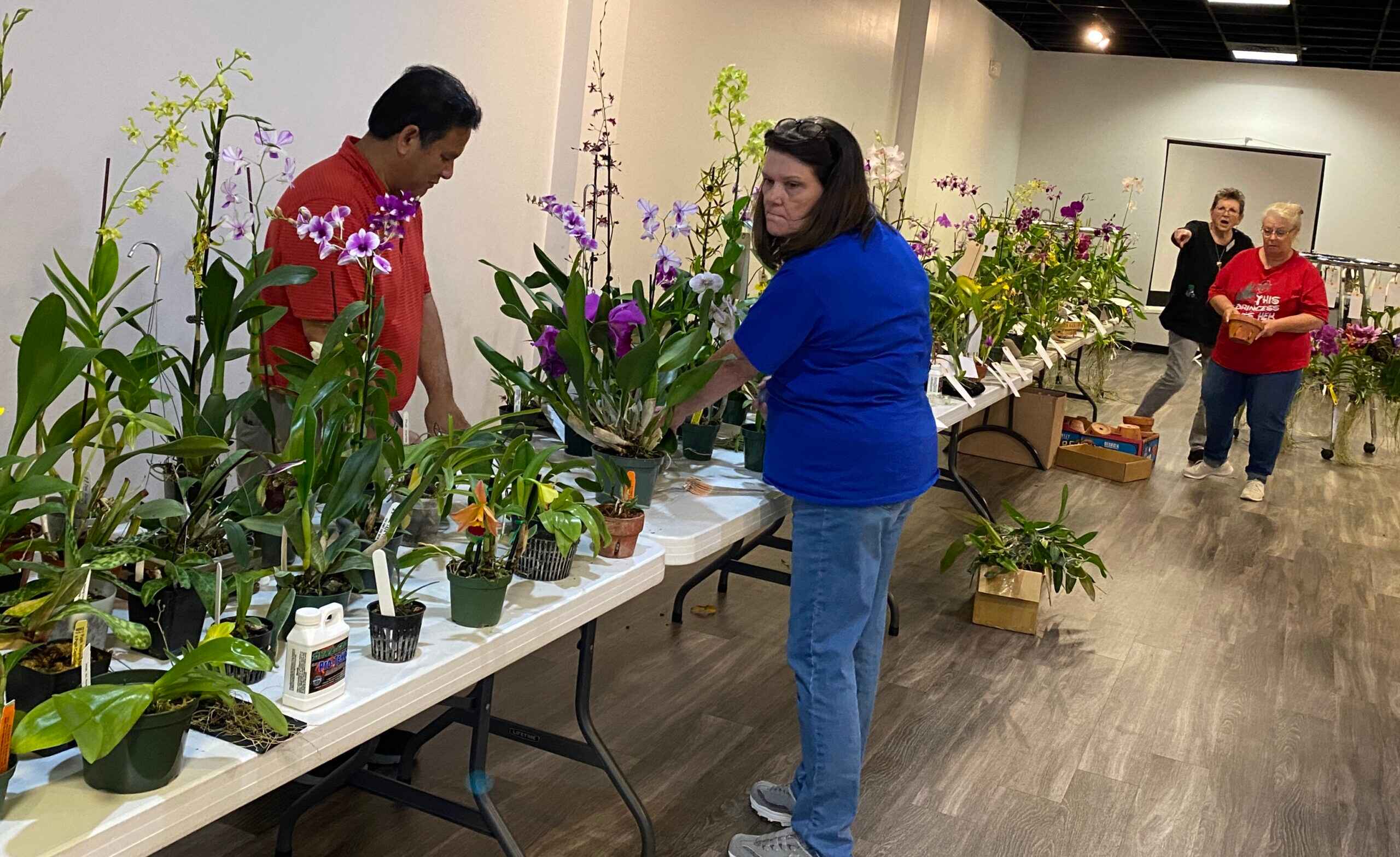 2022 Auction Central Florida Orchid Society